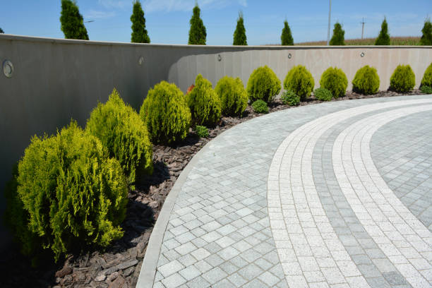Best Decorative Driveway Pavers  in Killeen, TX